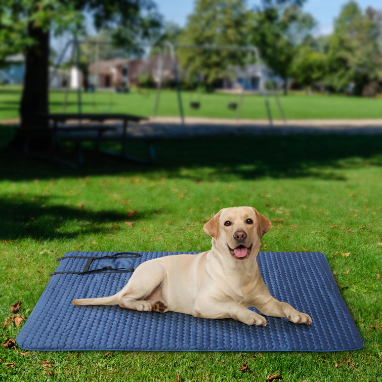 Travel dog hot sale mat